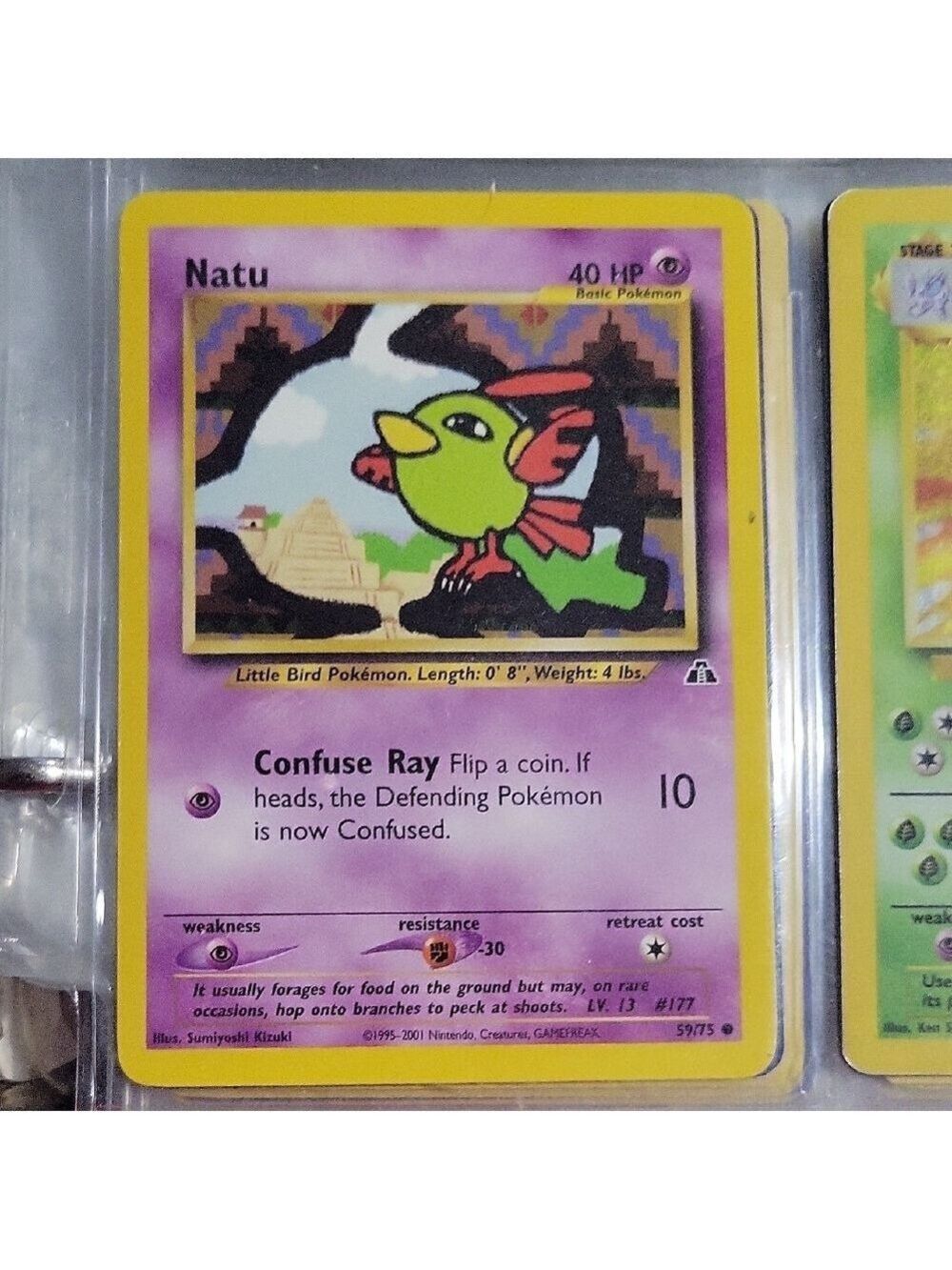 Pokemon Natu Card